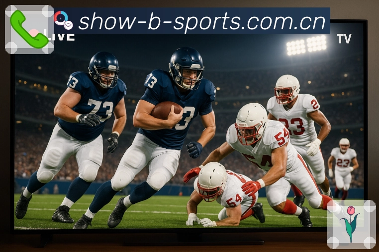 b体育 客户端图