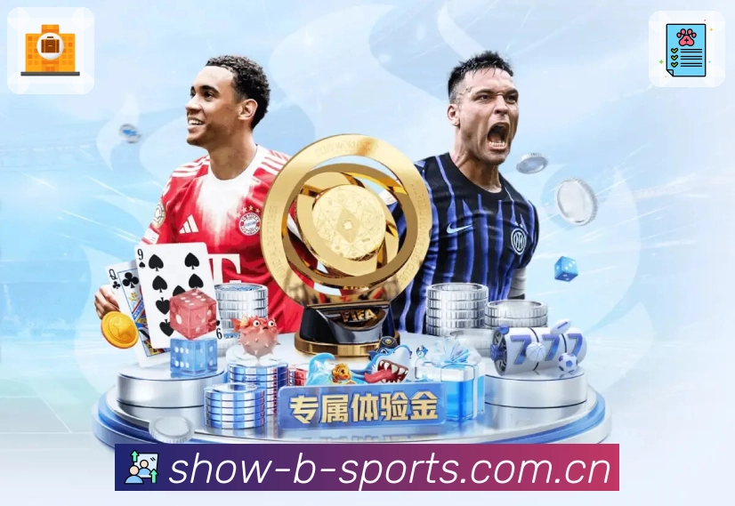 b体育平台展示图